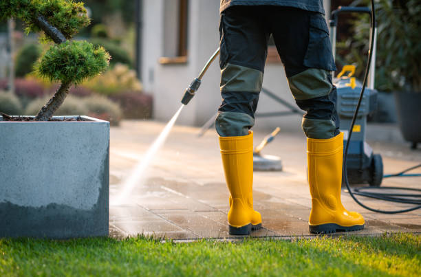 Deck Cleaning Services in Alexandria, LA